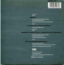 Load image into Gallery viewer, Pete Wylie : Sinful! (2x7", Ltd)