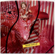 Load image into Gallery viewer, Sammy Hagar : Never Give Up (7")