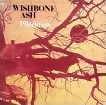Load image into Gallery viewer, Wishbone Ash : Pilgrimage (LP, Album, Gat)