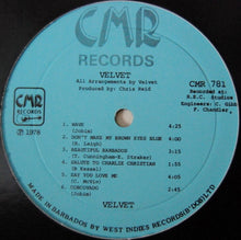 Load image into Gallery viewer, Velvet (28) : Velvet (LP)