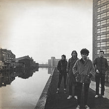 Load image into Gallery viewer, The Passions : Michael & Miranda (LP, Album)