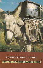 Load image into Gallery viewer, Timbuk 3 : Greetings From Timbuk 3 (Cass, Album)