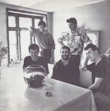 Load image into Gallery viewer, Lloyd Cole And The Commotions* : Rattlesnakes (LP, Album, Whi)