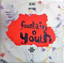 Load image into Gallery viewer, Candyland : Fountain O' Youth (12")