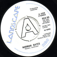 Load image into Gallery viewer, Landscape : Norman Bates (7", Single)