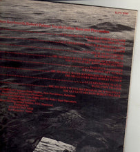 Load image into Gallery viewer, Robert Palmer : Clues (LP, Album)