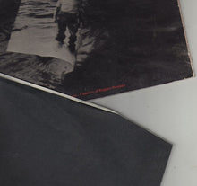 Load image into Gallery viewer, Robert Palmer : Clues (LP, Album)