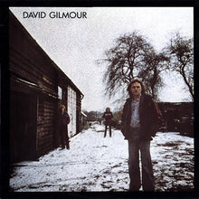 Load image into Gallery viewer, David Gilmour : David Gilmour (LP, Album, Gat)