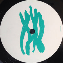 Load image into Gallery viewer, The Waterboys : A Pagan Place (LP, Album, EMI)