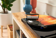 Load image into Gallery viewer, Carbon Fibre Record Cleaning Brush