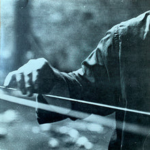 Load image into Gallery viewer, Terry Fox : Linkage (LP)