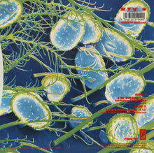 Load image into Gallery viewer, The Soup Dragons : I'm Free (7", Single)