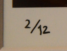 Load image into Gallery viewer, Brandon Flowers (The Killers) - Signed Limited Edition Print (Søren Solkær)