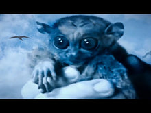 Load and play video in Gallery viewer, Thomas Truax with Budgie and Mother Superior - Dream Catching Songs