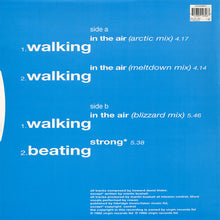 Load image into Gallery viewer, Avalanche!! : Walking In The Air (12")
