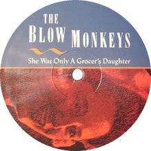 Load image into Gallery viewer, The Blow Monkeys : She Was Only A Grocer's Daughter (LP, Album)
