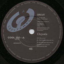 Load image into Gallery viewer, Circuit (4) : Shelter Me (7", Single)
