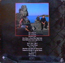 Load image into Gallery viewer, Psychic TV : Dreams Less Sweet (LP, Album + 12", EP, Ltd)

