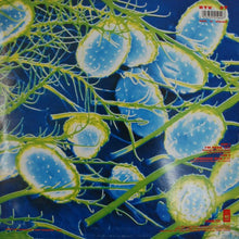 Load image into Gallery viewer, The Soup Dragons : I'm Free (12")
