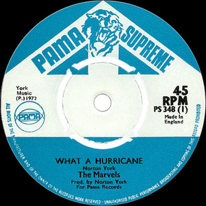 The Marvels : What A Hurricane (7", Single)