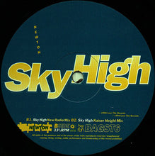 Load image into Gallery viewer, Newton (2) : Sky High (12")
