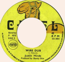 Load image into Gallery viewer, Carl Malcolm / Skin Flesh &amp; Bone* : Miss Wire Waist / Wire Dub (7&quot;)
