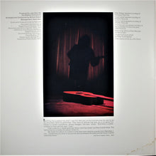 Load image into Gallery viewer, Don McLean : Homeless Brother (LP, Album, Ter)
