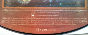 Journey : Don't Stop Believin' / The Journey Story (An Audio Biography) (12", Pic)