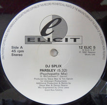 Load image into Gallery viewer, DJ Splix : Parsley (12")
