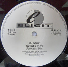 Load image into Gallery viewer, DJ Splix : Parsley (12")
