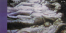 Load image into Gallery viewer, Ministry : The Land Of Rape And Honey (CD, Album, RE)
