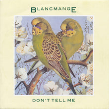 Load image into Gallery viewer, Blancmange : Don't Tell Me (7", Single, Sil)
