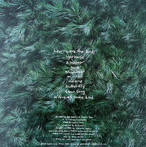 Adrianne Lenker : Hours Were The Birds (LP, Album, RE)