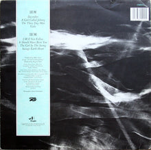 Load image into Gallery viewer, The Waterboys : The Waterboys (LP, Album, RE, RM, PRS)
