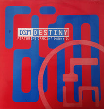 Load image into Gallery viewer, DSM : Destiny (12")
