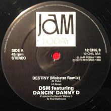 Load image into Gallery viewer, DSM : Destiny (12")

