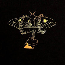 Load image into Gallery viewer, David Gray : Gold In A Brass Age (2xLP, Album)
