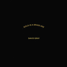 Load image into Gallery viewer, David Gray : Gold In A Brass Age (2xLP, Album)
