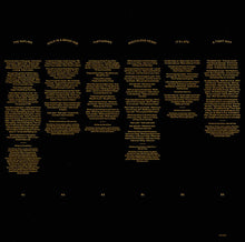 Load image into Gallery viewer, David Gray : Gold In A Brass Age (2xLP, Album)
