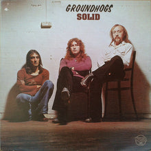 Load image into Gallery viewer, Groundhogs* : Solid (LP, Album)
