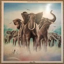 Load image into Gallery viewer, Elvis Costello And The Attractions* : Armed Forces (LP, Album)
