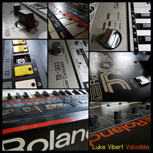 Load image into Gallery viewer, Luke Vibert : Valvable (2x12", Album, Ltd, Num, 180)
