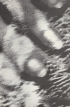 Load image into Gallery viewer, Cocteau Twins : Blue Bell Knoll (LP, Album, Ltd, Gat)
