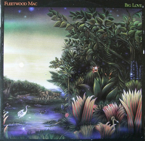 Fleetwood Mac : Big Love (12