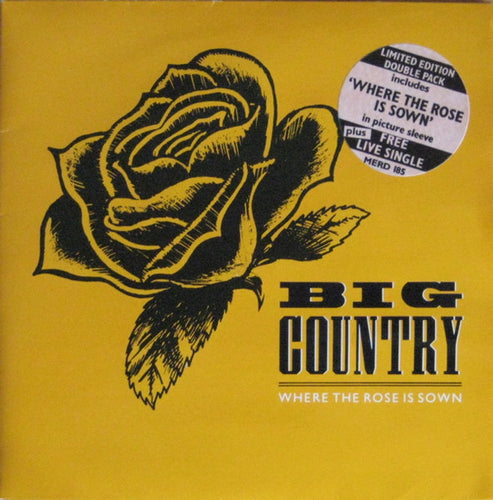 Big Country : Where The Rose Is Sown (7