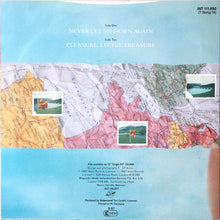 Load image into Gallery viewer, Depeche Mode : Never Let Me Down Again (7", Single)
