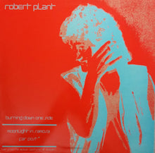 Load image into Gallery viewer, Robert Plant : Burning Down One Side (12")
