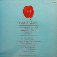 Load image into Gallery viewer, Robert Plant : Burning Down One Side (12")
