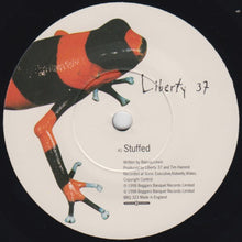Load image into Gallery viewer, Liberty 37 : Stuffed EP (2x7&quot;, EP)
