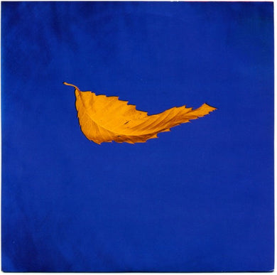 New Order : True Faith / 1963 (7